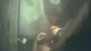 خوبصورت اور خراب نوجوان کتیا اس سیکسی ویڈیو سیکسی ویڈیو کے پریمی fucks