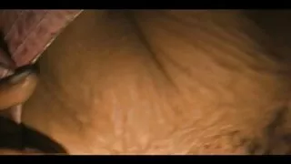 چھٹیوں کے بعد ، سملینگک معصوم مذاق سیکسی ویڈو کھیل سے لطف اندوز